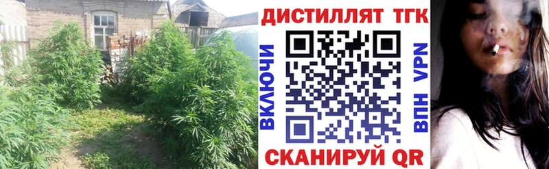 цены   Сосновоборск  blacksprut ссылки  Дистиллят ТГК Wax 